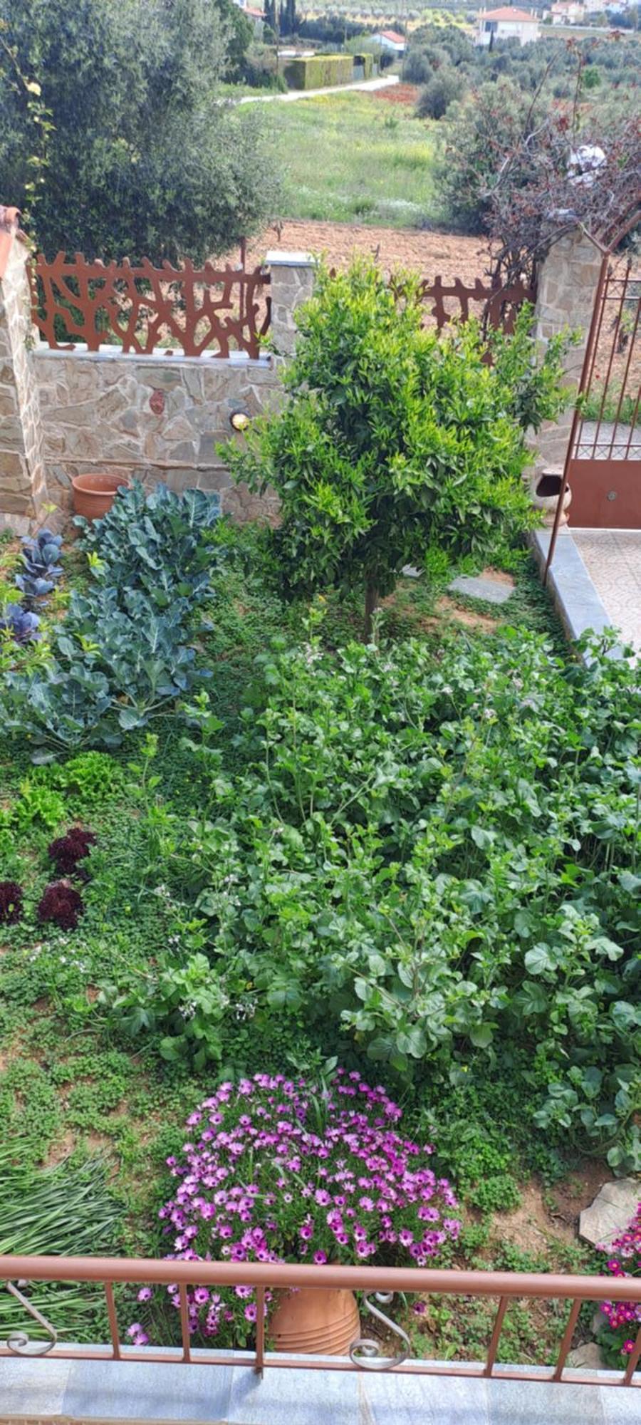 Peaceful House Near Airport Villa Pikermion Bagian luar foto